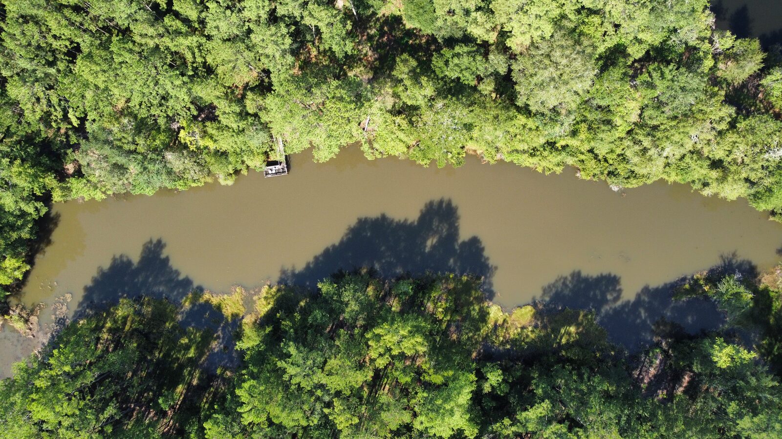 Ponds & Lakes by SKS Aquatic on the Gulf Coast — Lake edge cleaned up