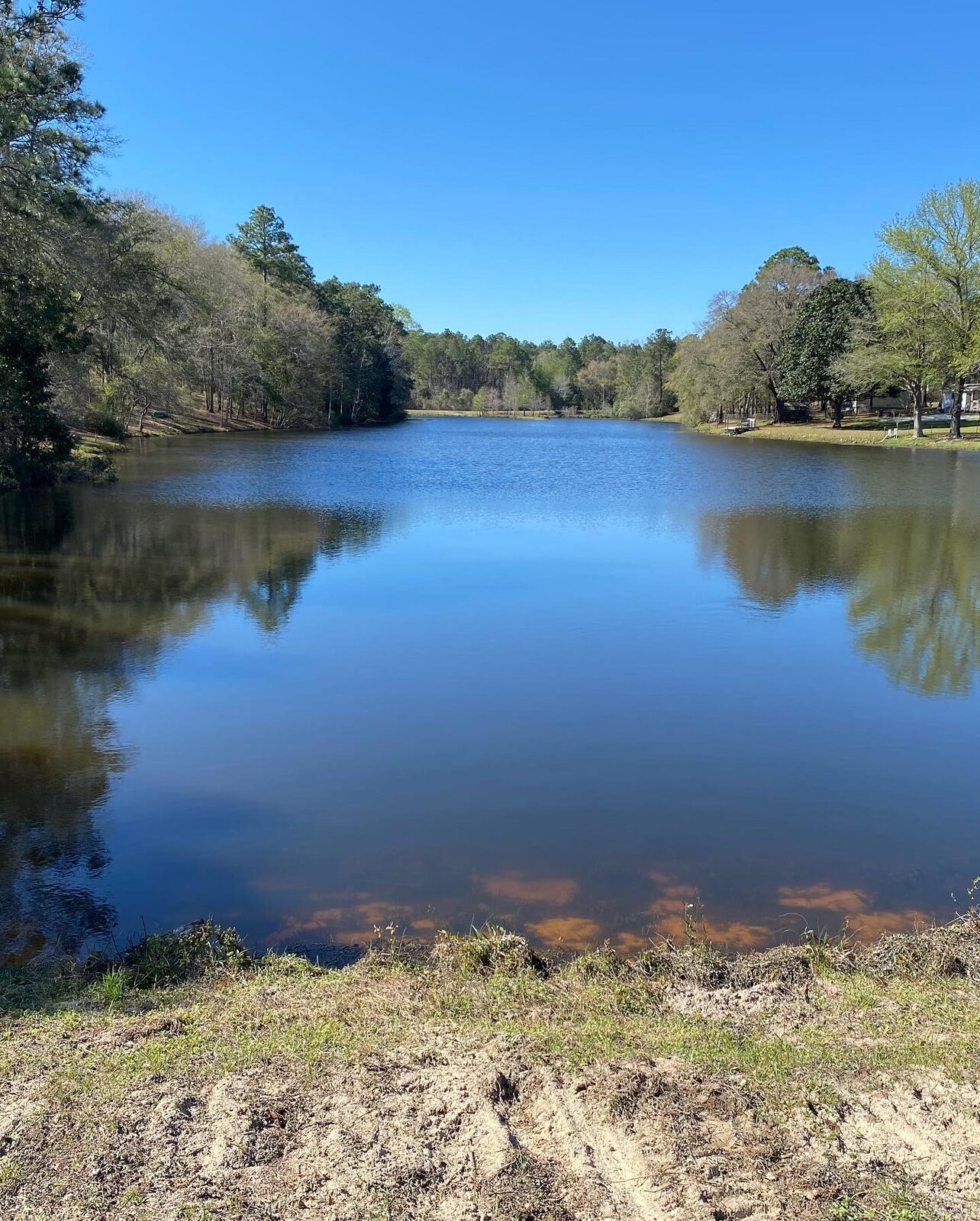 Ponds & Lakes by SKS Aquatic on the Gulf Coast — Amphibious dredge on site