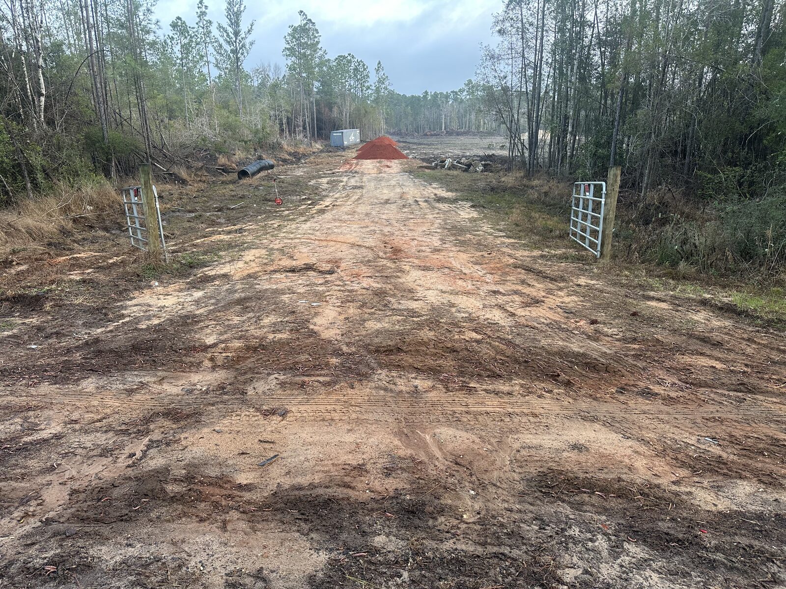 Land Clearing & Site Work by SKS Aquatic on the Gulf Coast — Shoreline access opened up