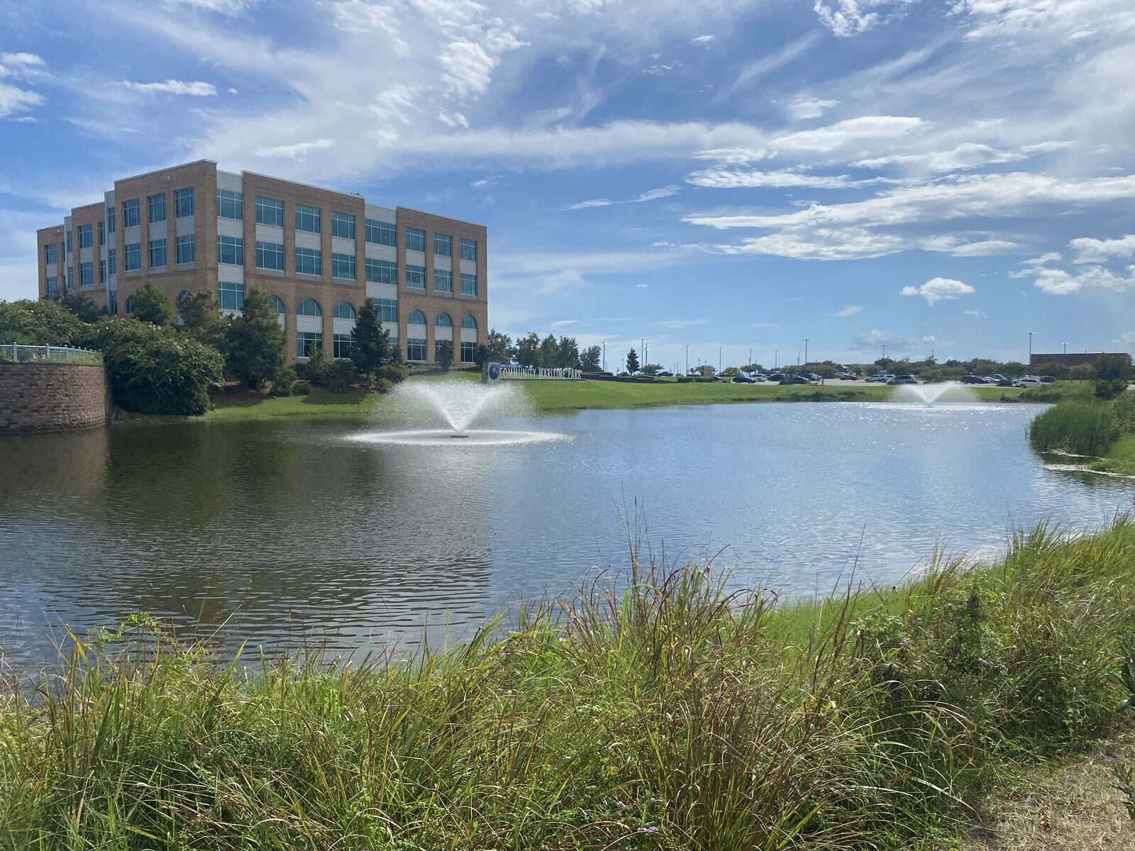 Ponds & Lakes by SKS Aquatic on the Gulf Coast — Shoreline vegetation cleared