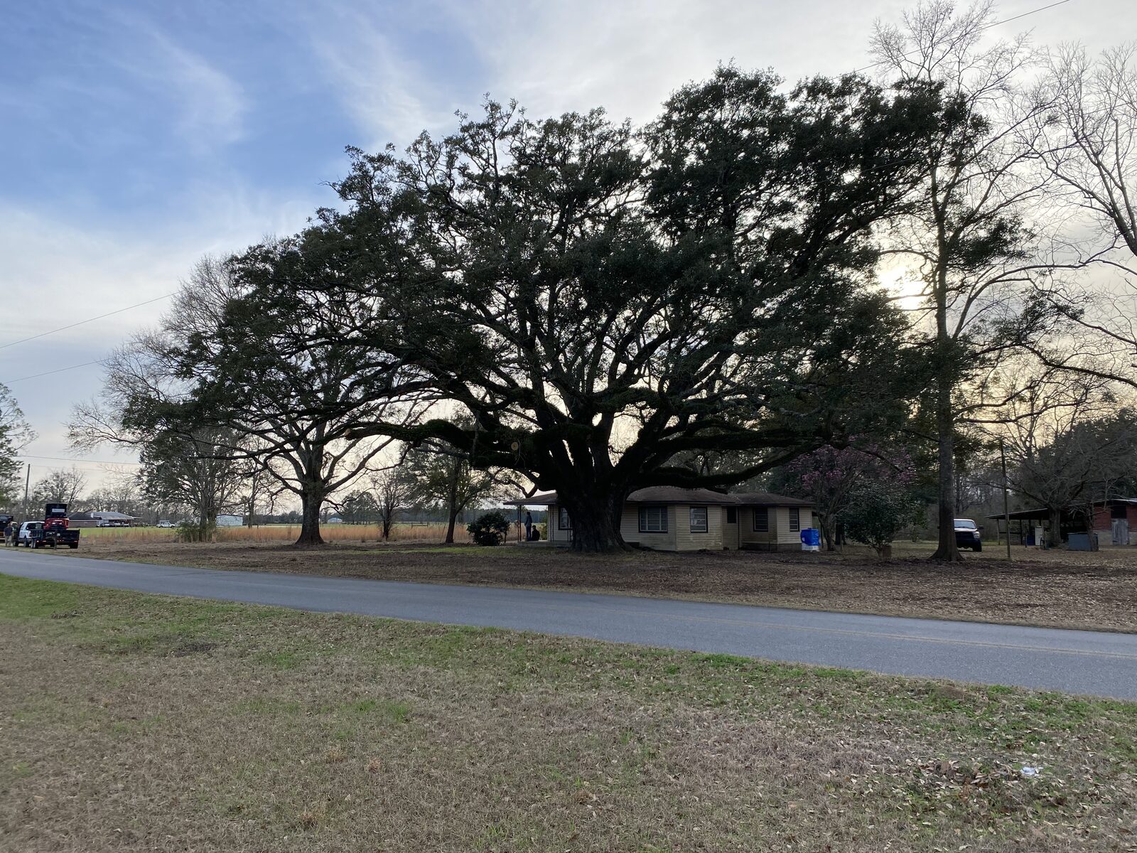 Land Clearing & Site Work by SKS Aquatic on the Gulf Coast — Lot cleared and graded