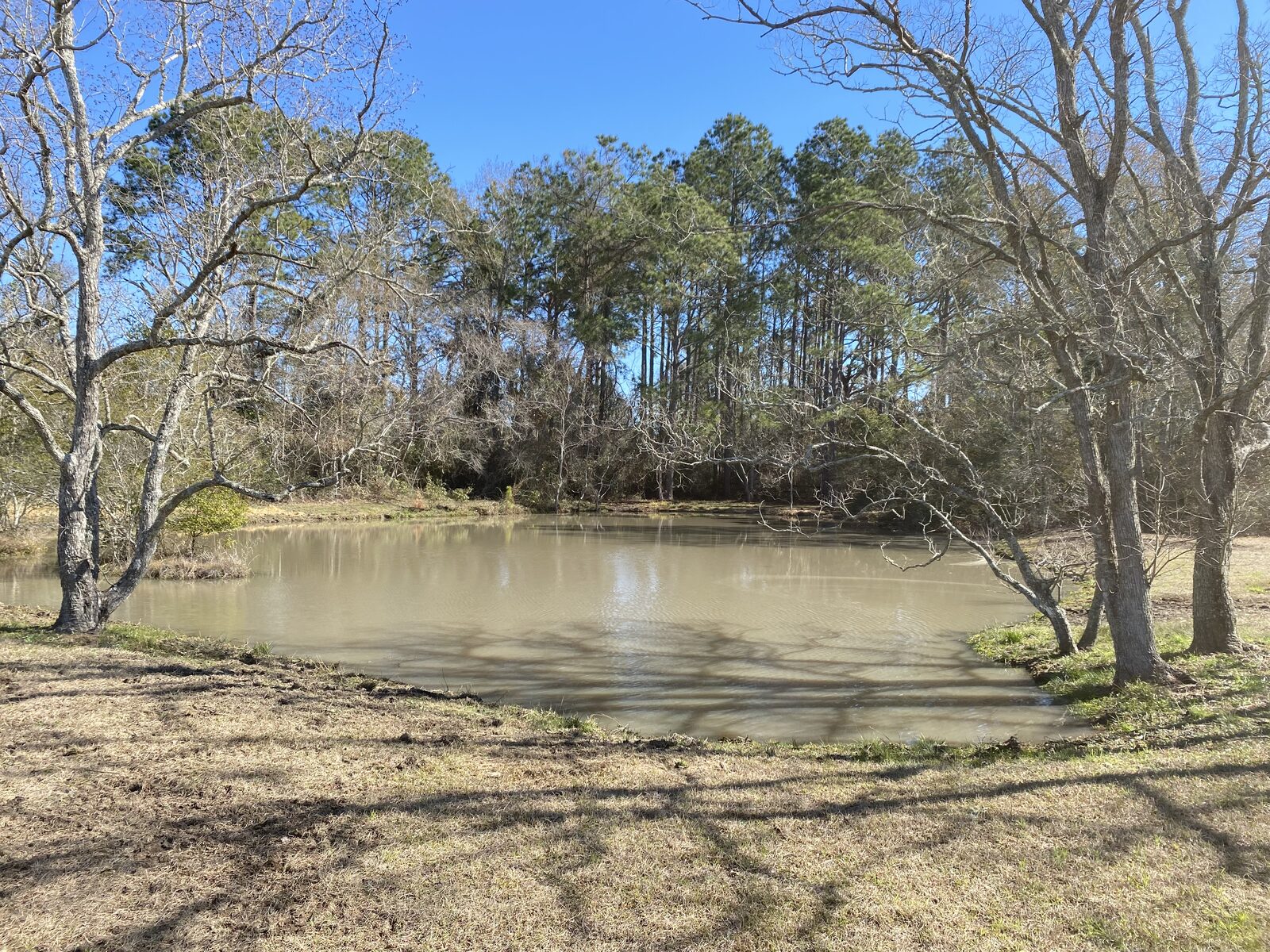 Ponds & Lakes by SKS Aquatic on the Gulf Coast — Pond restored to open water