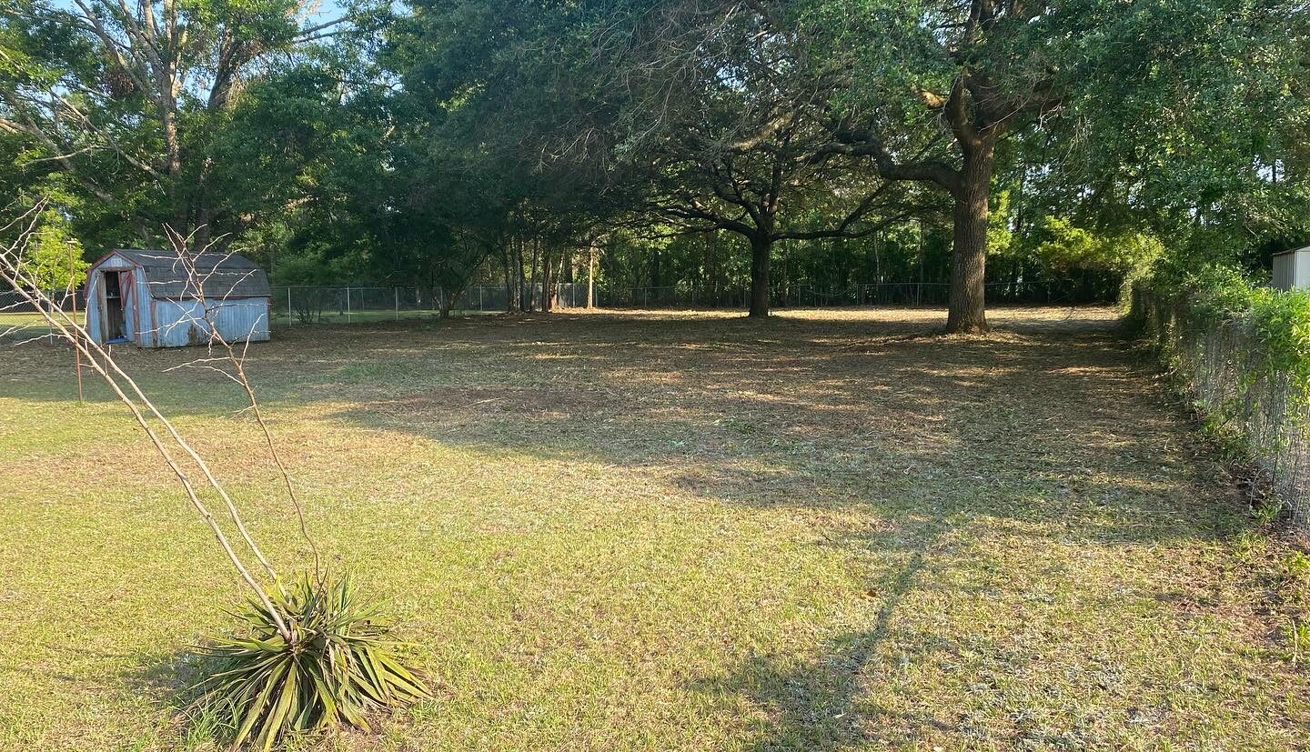 Land Clearing & Site Work by SKS Aquatic on the Gulf Coast — Shoreline access opened up