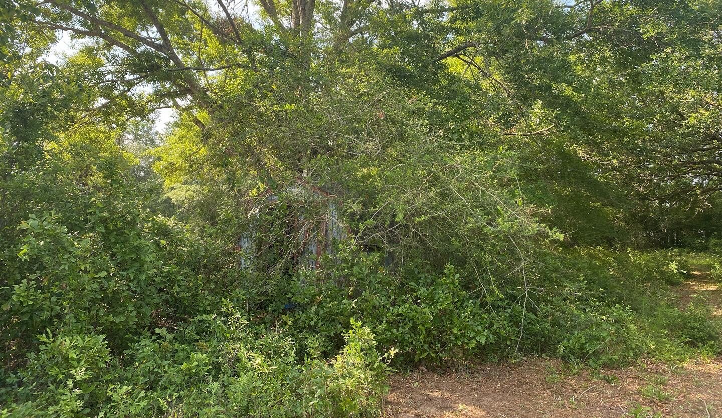 Land Clearing & Site Work by SKS Aquatic on the Gulf Coast — Skid steer clearing