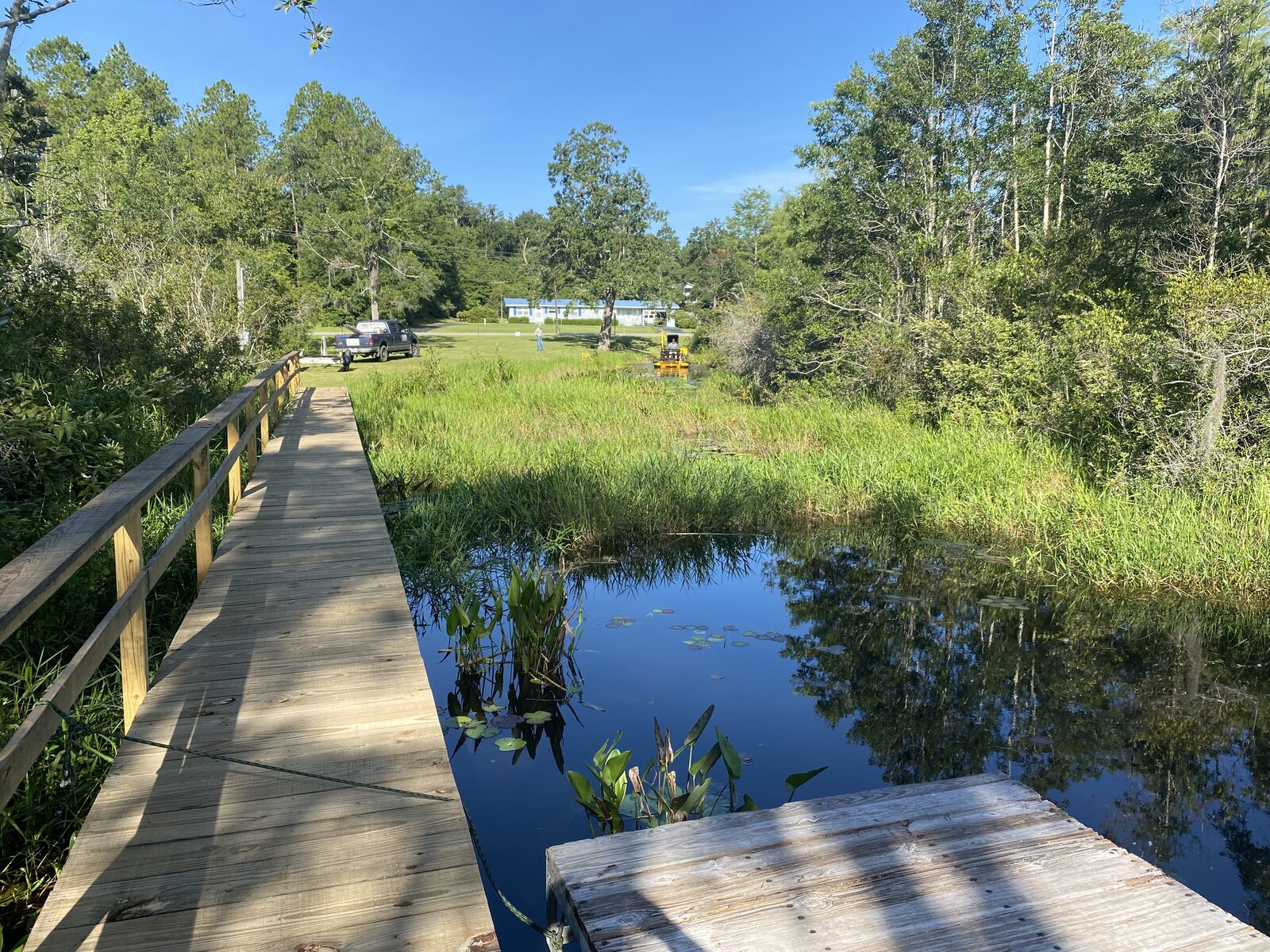 Ponds & Lakes by SKS Aquatic on the Gulf Coast — Lake edge cleaned up