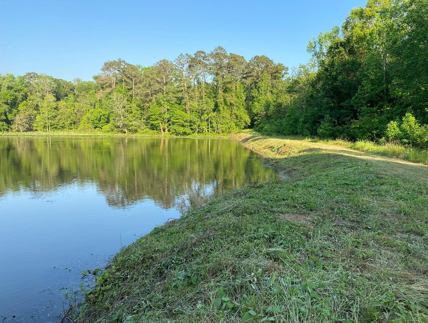 Pond restoration and aeration in Pace, FL