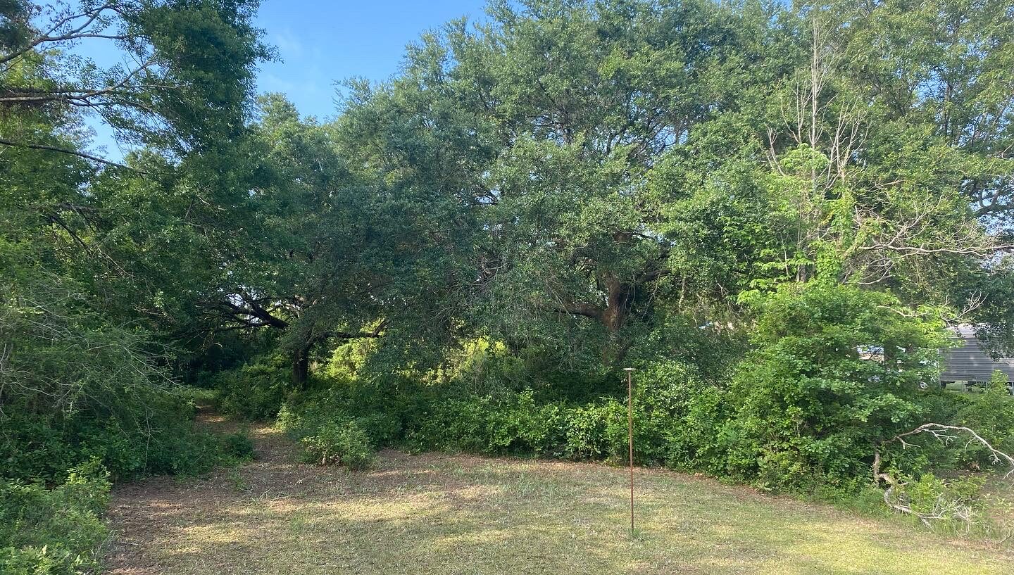 Land Clearing & Site Work by SKS Aquatic on the Gulf Coast — Site prepped and hauled off