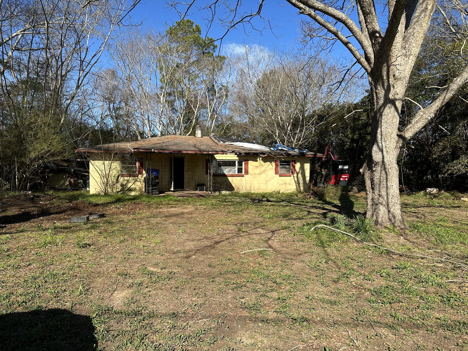 Land Clearing & Site Work by SKS Aquatic on the Gulf Coast — Shoreline access opened up